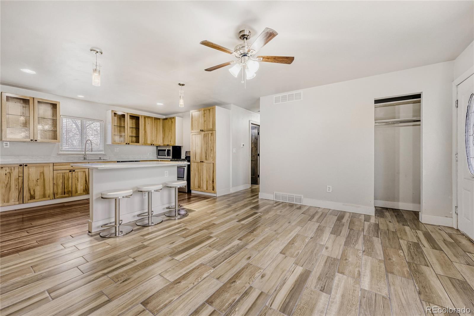 MLS Image #10 for 8234  ladean street,denver, Colorado