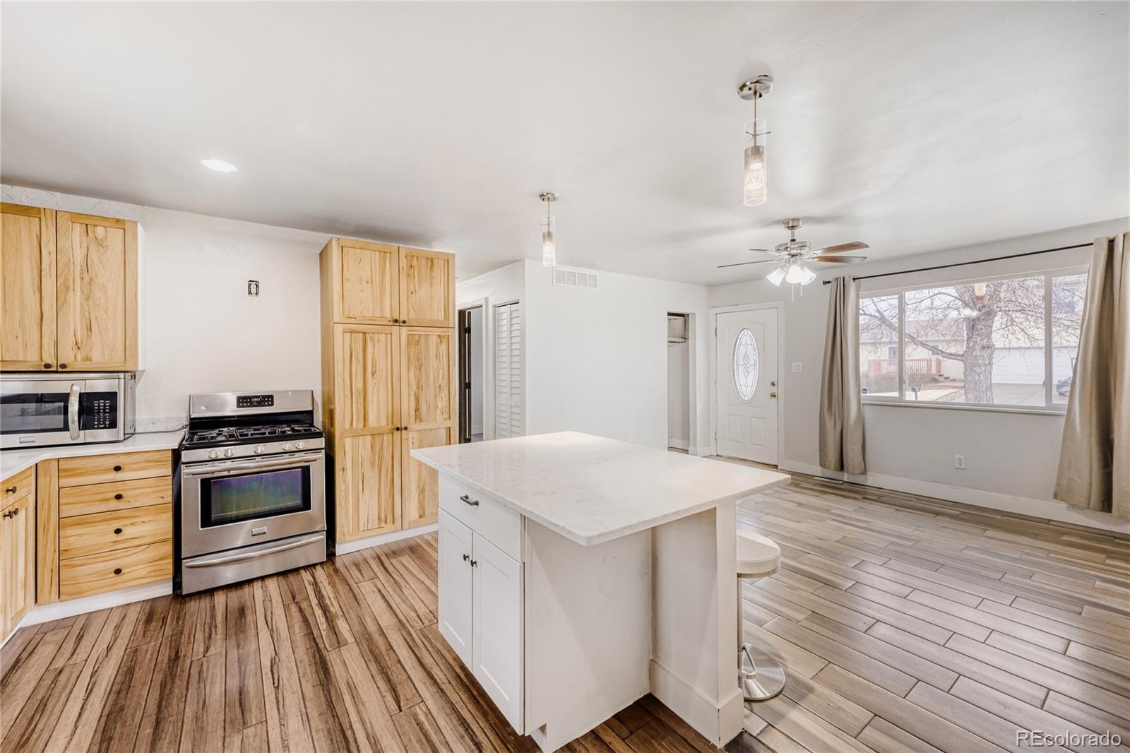 MLS Image #9 for 8234  ladean street,denver, Colorado
