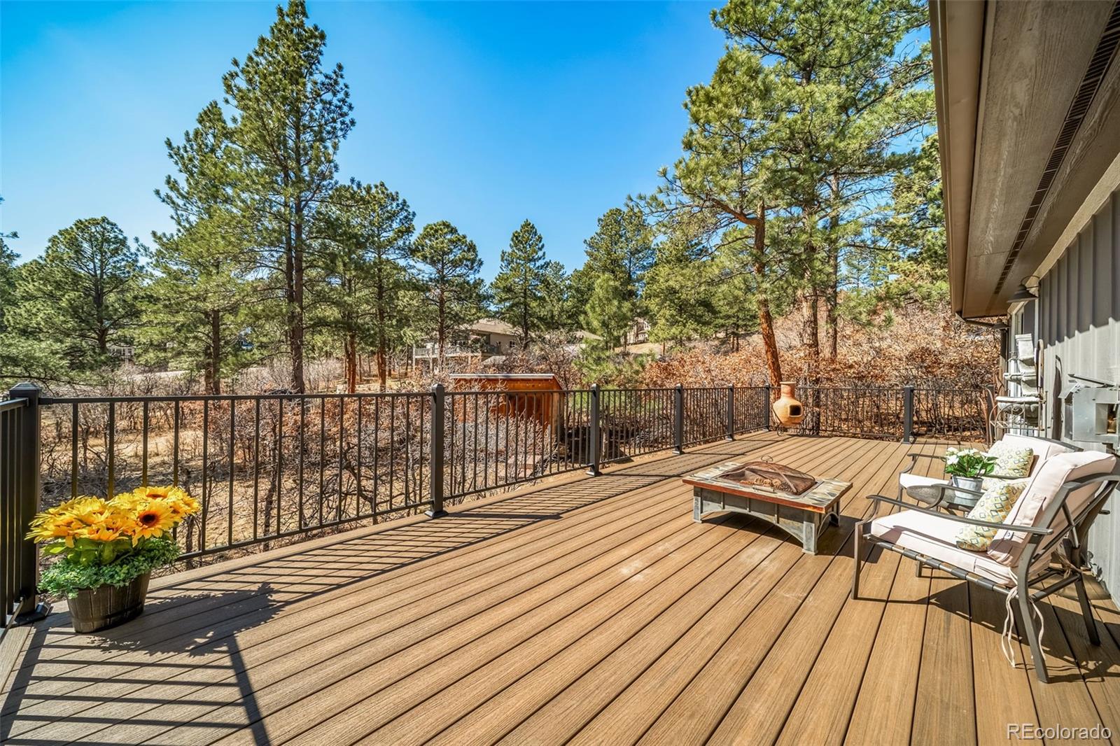MLS Image #29 for 4047  kalamath drive,larkspur, Colorado