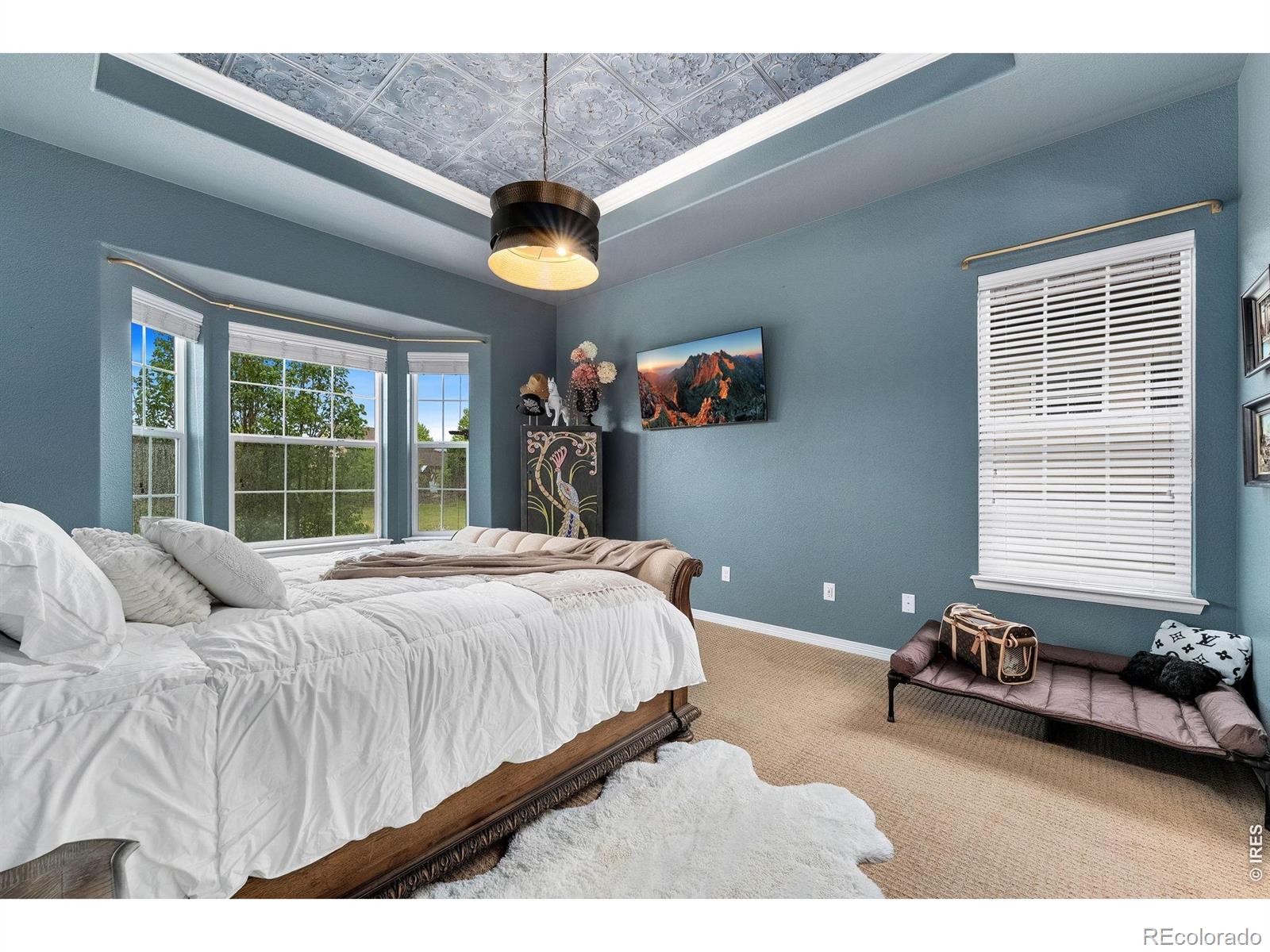 MLS Image #18 for 2038  vineyard drive,windsor, Colorado