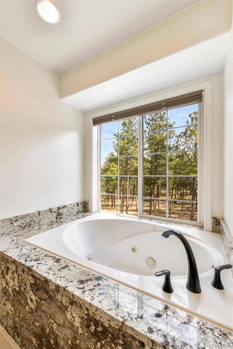 MLS Image #19 for 17725  martingale road,monument, Colorado