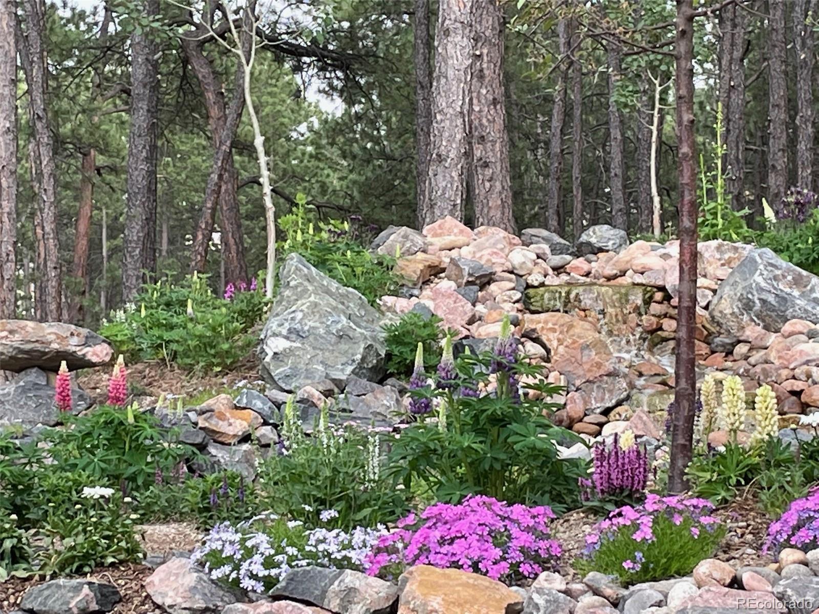 MLS Image #38 for 17725  martingale road,monument, Colorado