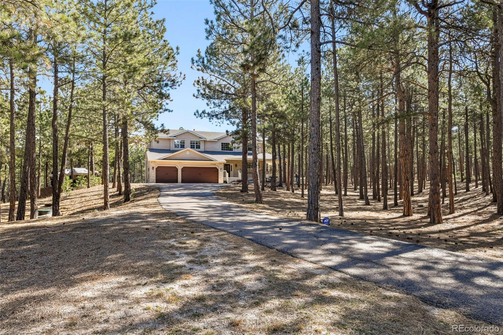 MLS Image #47 for 17725  martingale road,monument, Colorado