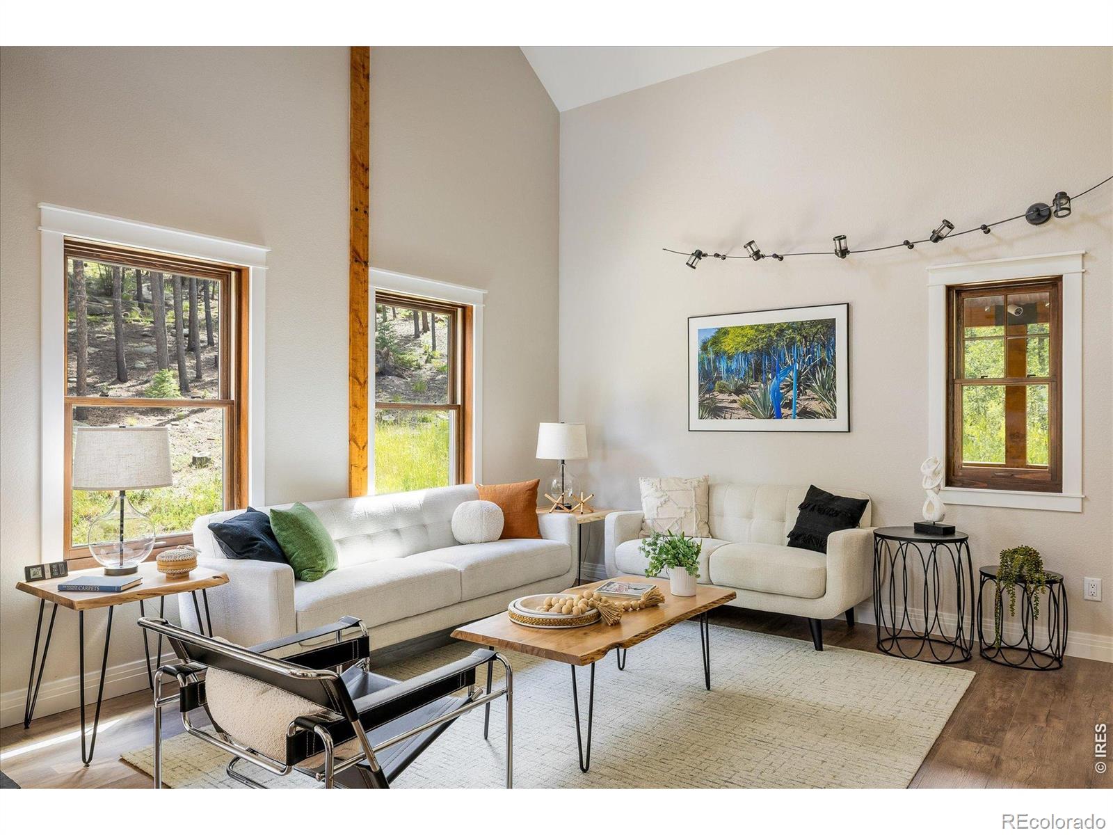 MLS Image #8 for 713  rudi lane,golden, Colorado