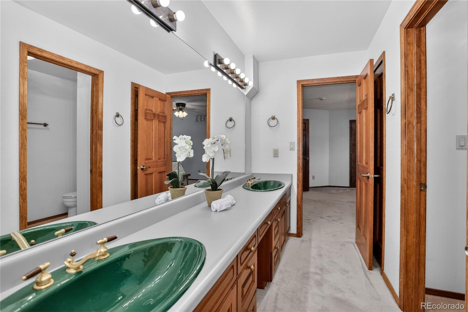 MLS Image #24 for 355  palm springs drive,colorado springs, Colorado