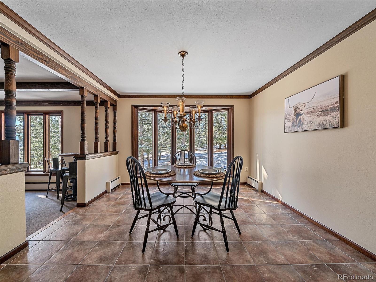 MLS Image #12 for 7990  tim tam trail,evergreen, Colorado
