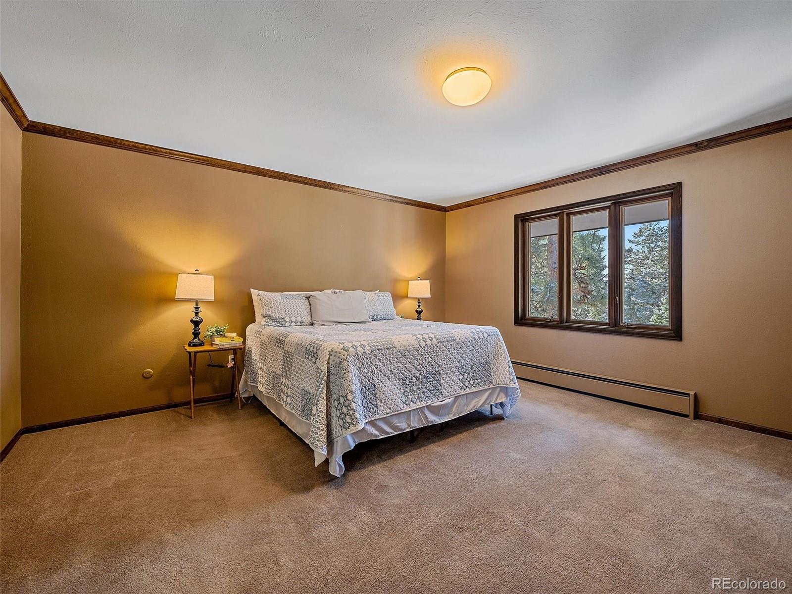 MLS Image #20 for 7990  tim tam trail,evergreen, Colorado