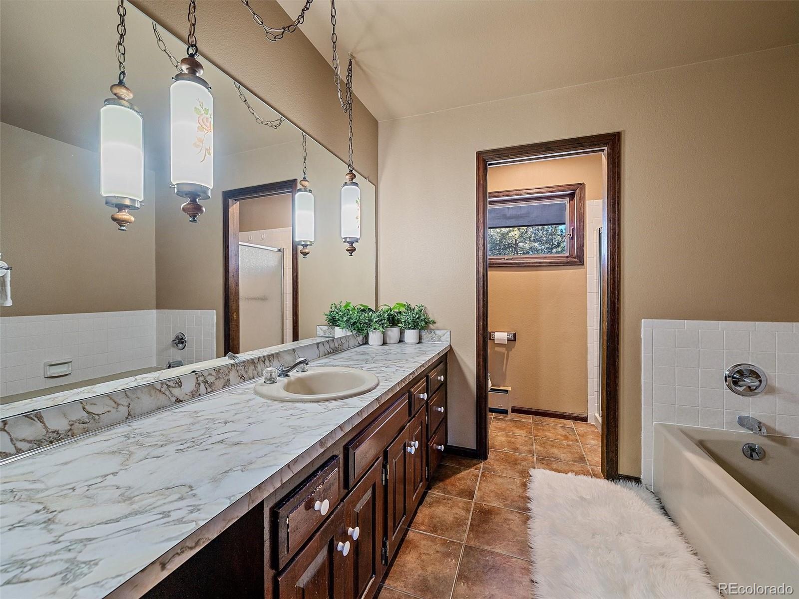 MLS Image #21 for 7990  tim tam trail,evergreen, Colorado