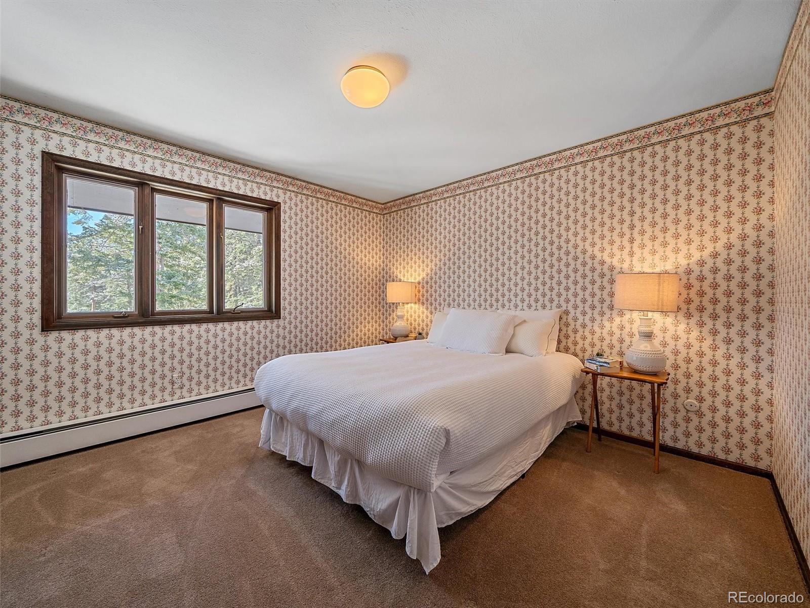 MLS Image #27 for 7990  tim tam trail,evergreen, Colorado