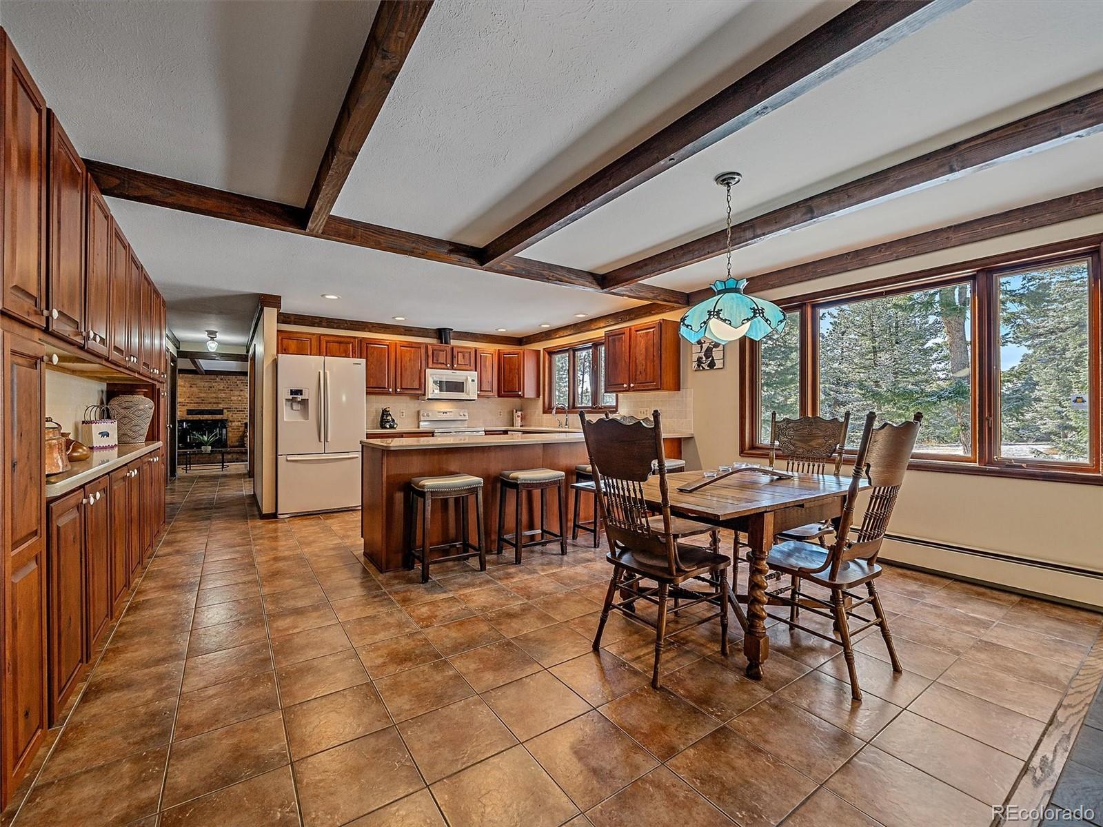 MLS Image #4 for 7990  tim tam trail,evergreen, Colorado