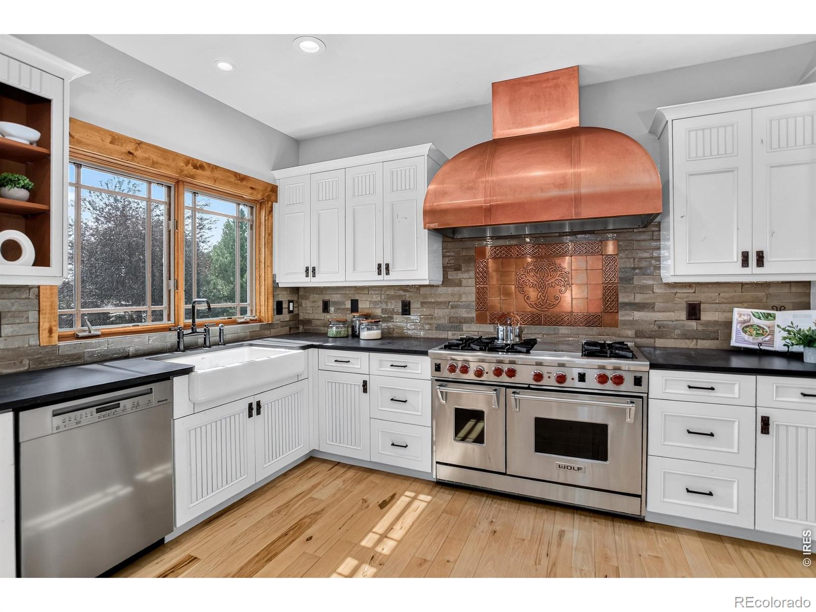 MLS Image #4 for 8652  portico lane,longmont, Colorado