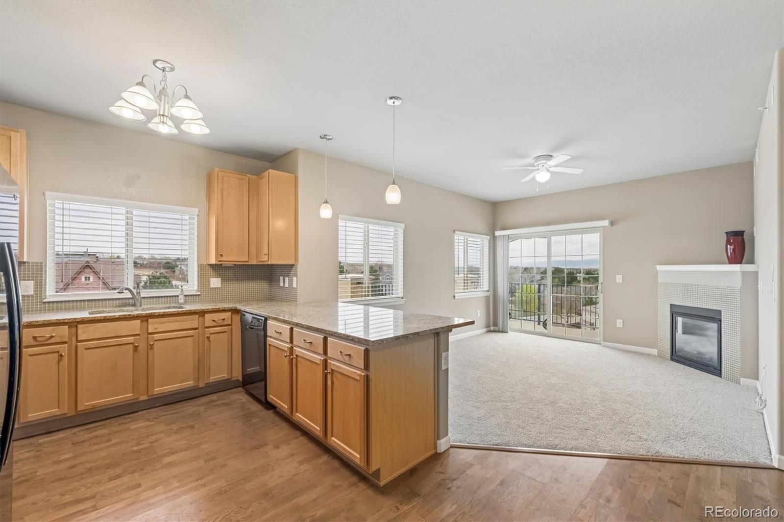 MLS Image #1 for 1044  rockhurst drive 404,highlands ranch, Colorado