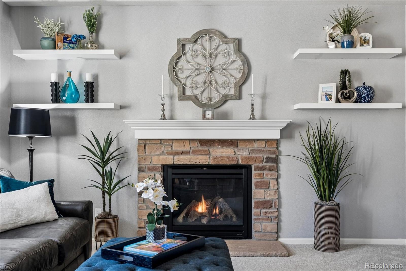 MLS Image #10 for 7916  grady circle,castle rock, Colorado