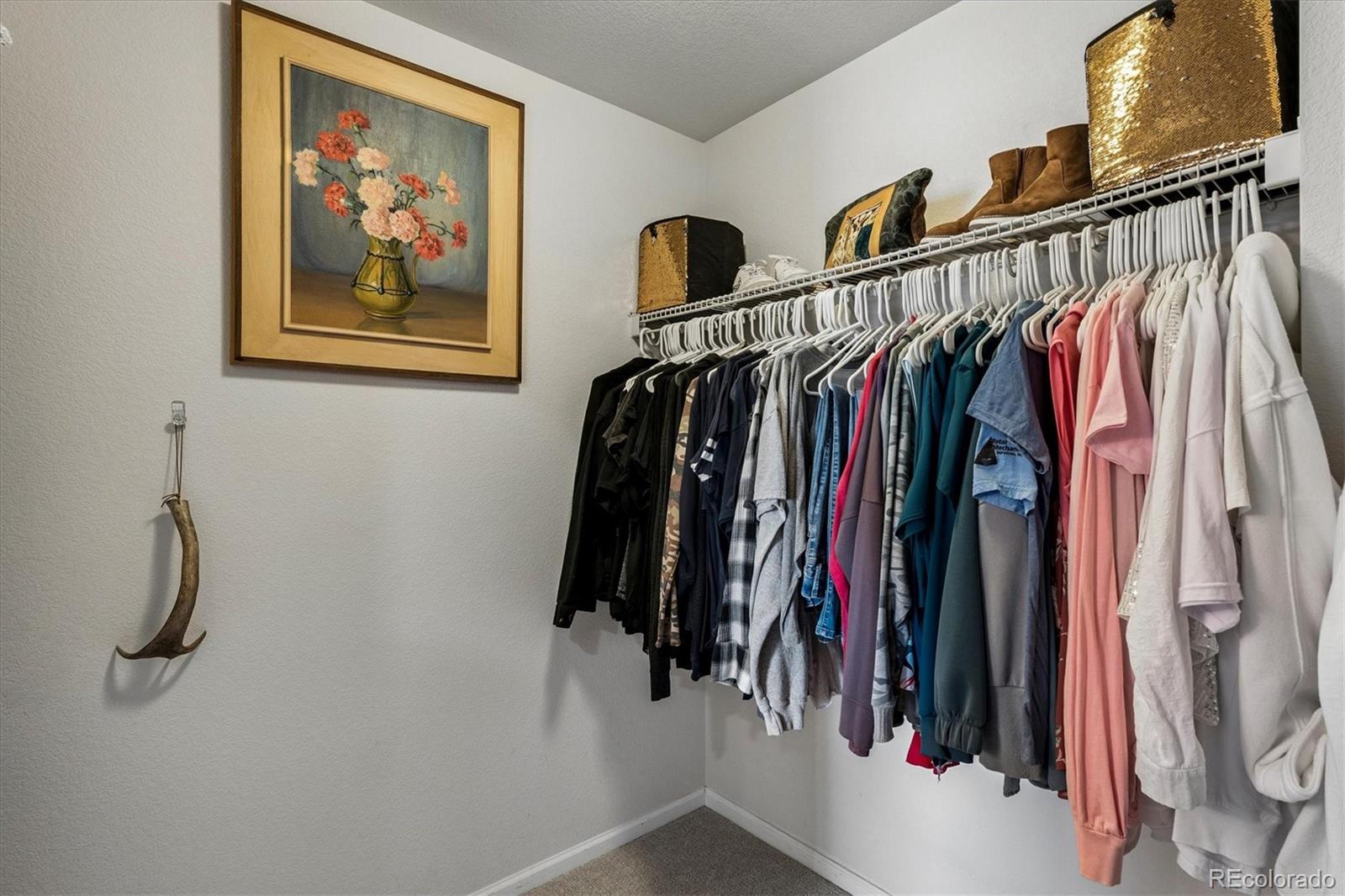 MLS Image #18 for 7916  grady circle,castle rock, Colorado