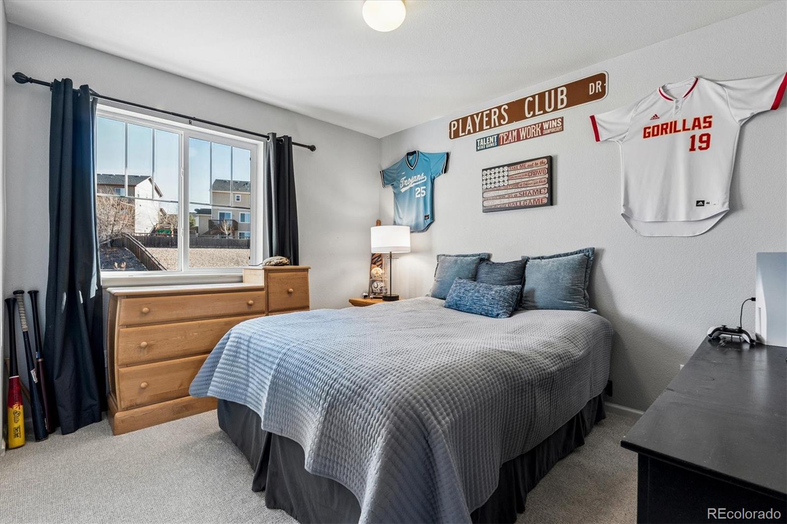 MLS Image #19 for 7916  grady circle,castle rock, Colorado