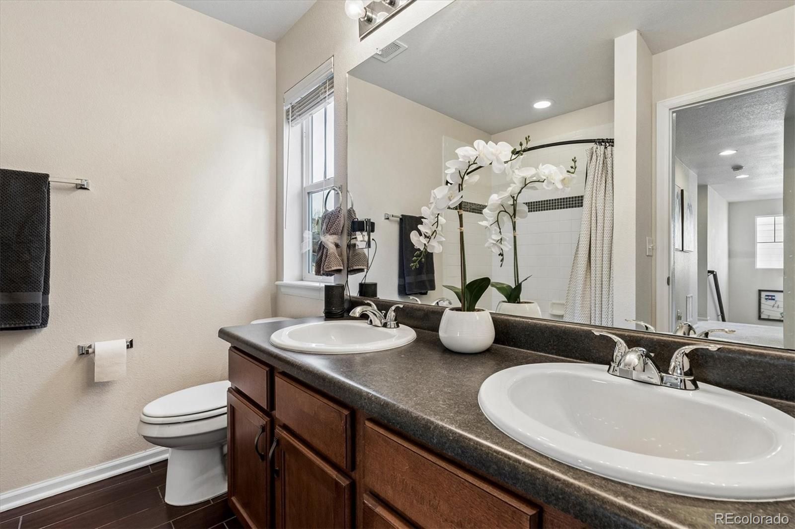 MLS Image #20 for 7916  grady circle,castle rock, Colorado