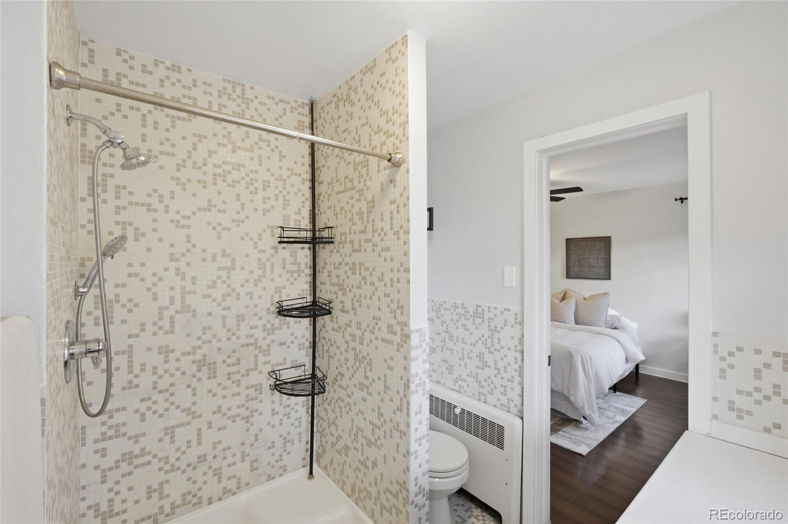 MLS Image #15 for 500 e 11th avenue 201,denver, Colorado