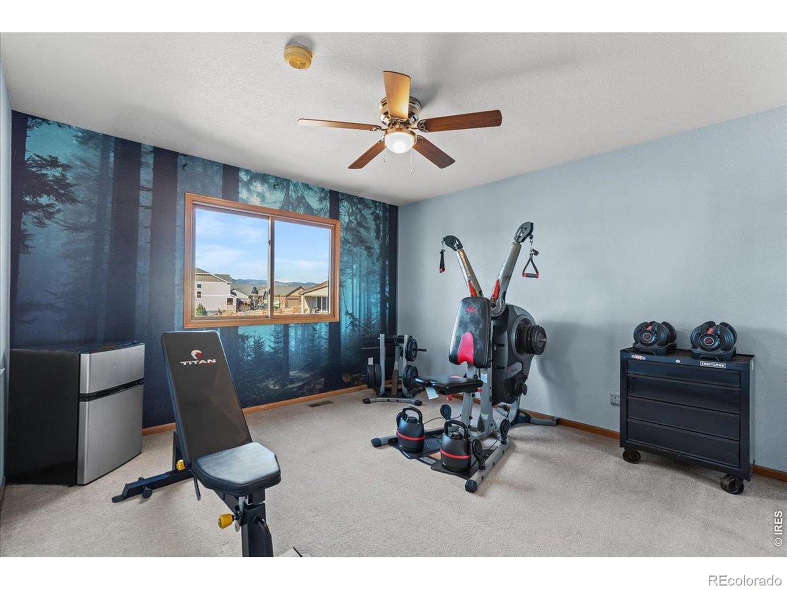 MLS Image #27 for 537 s 9th street,berthoud, Colorado