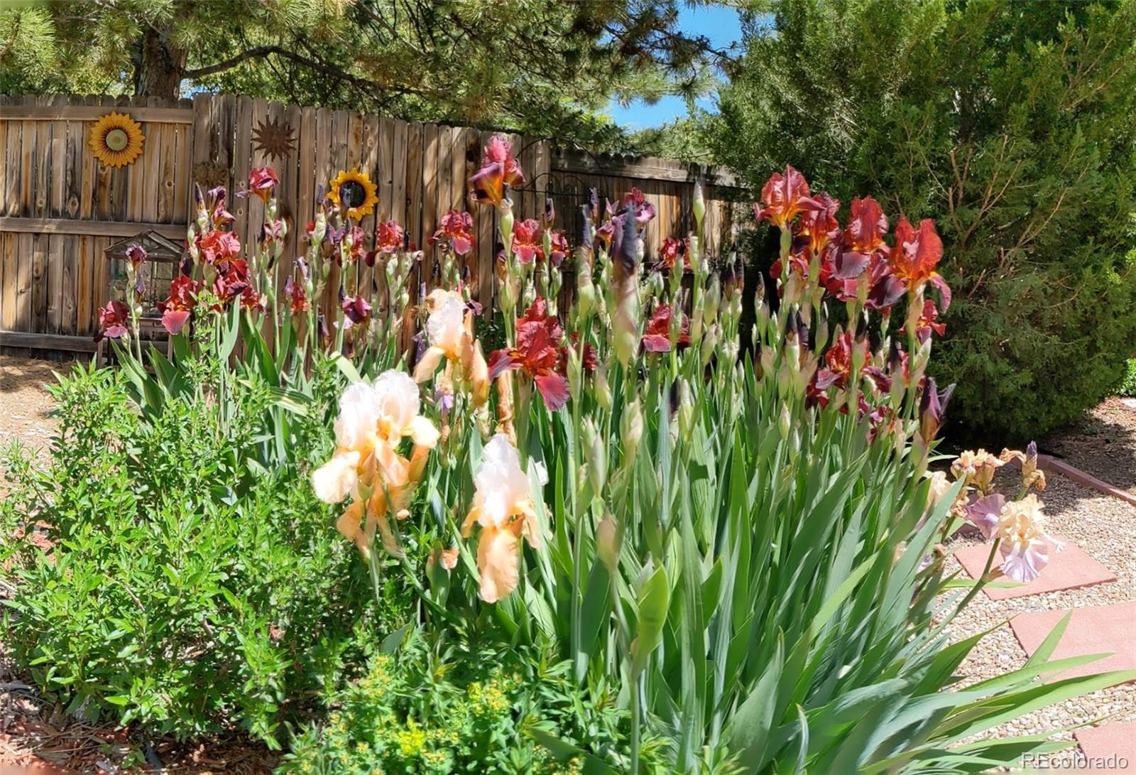 MLS Image #33 for 6253 w caley avenue,littleton, Colorado