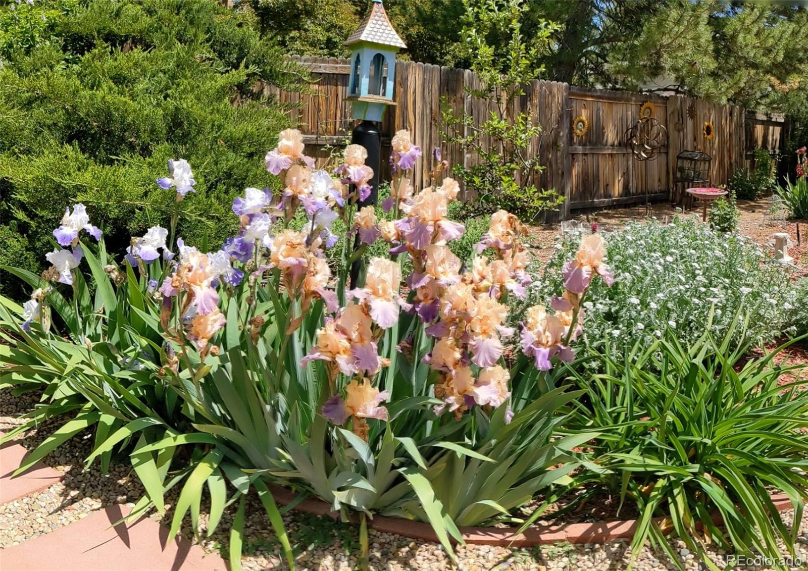 MLS Image #34 for 6253 w caley avenue,littleton, Colorado