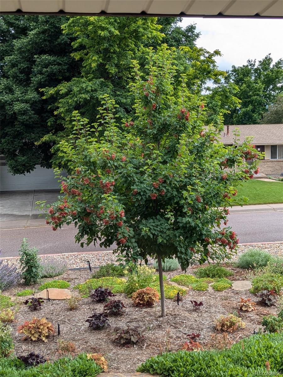 MLS Image #40 for 6253 w caley avenue,littleton, Colorado