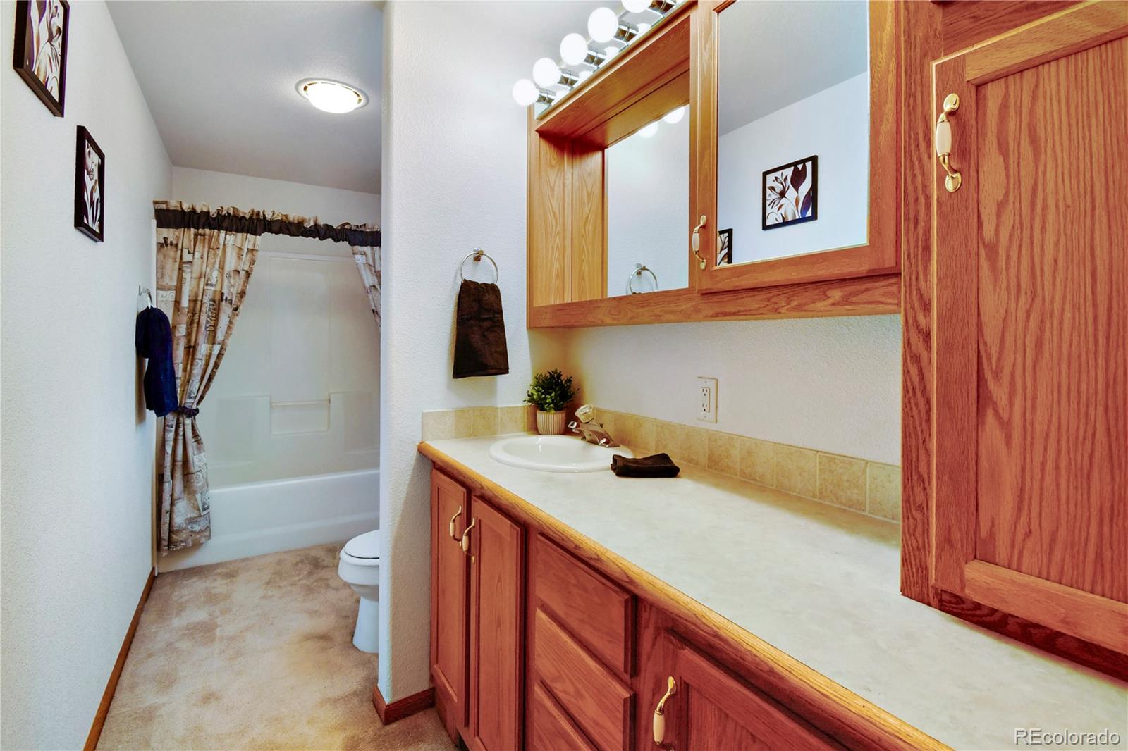 MLS Image #11 for 682  meadowlark lane,brighton, Colorado
