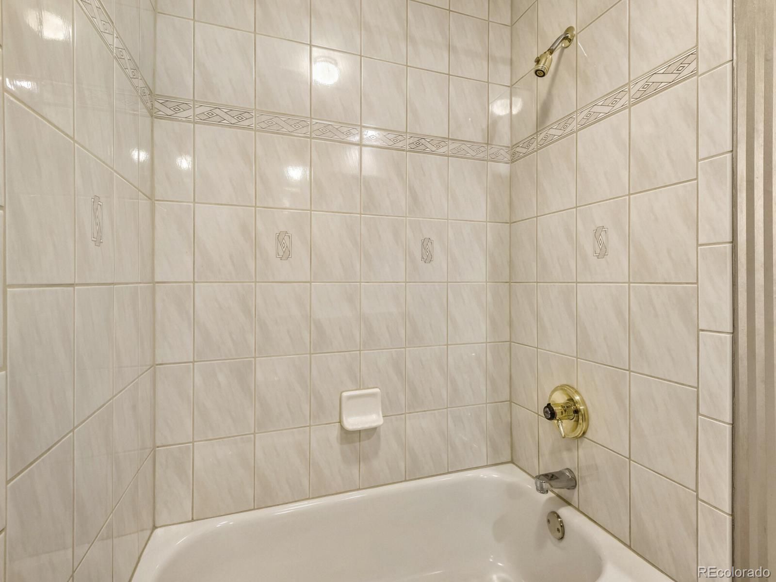 MLS Image #23 for 7509 s trenton court,centennial, Colorado