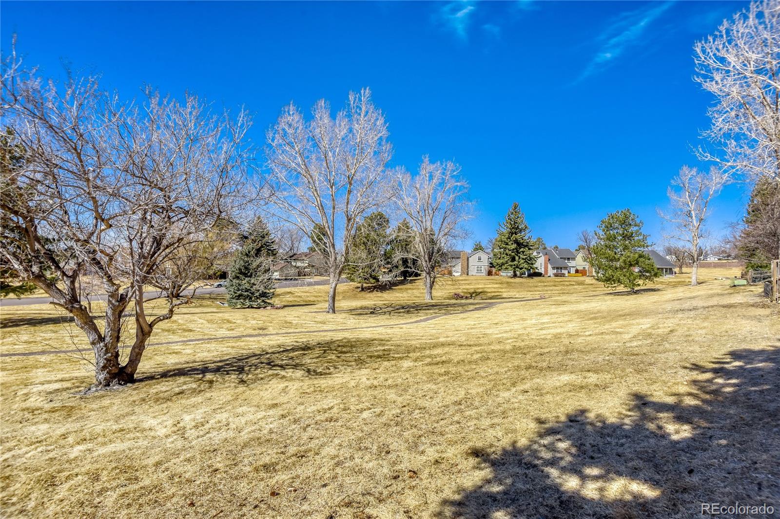 MLS Image #28 for 7509 s trenton court,centennial, Colorado