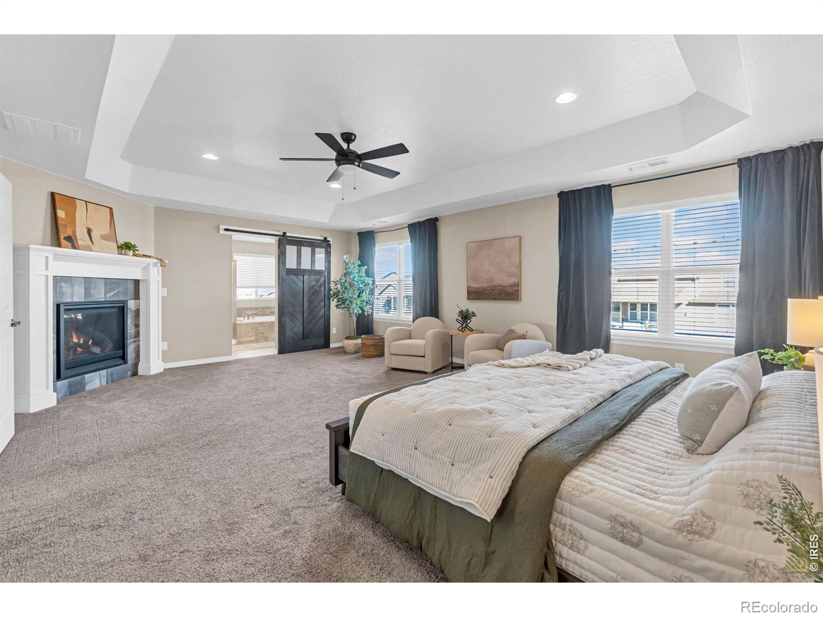 MLS Image #10 for 6028  moran road,timnath, Colorado