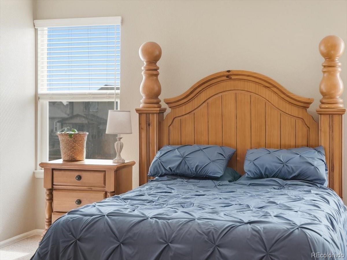 MLS Image #19 for 1557  edenbridge drive,windsor, Colorado