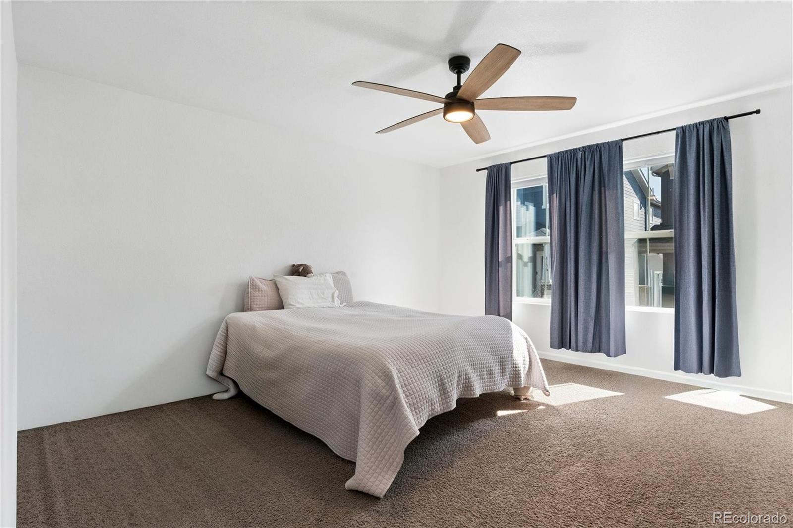 MLS Image #15 for 8168  mount ouray road,littleton, Colorado