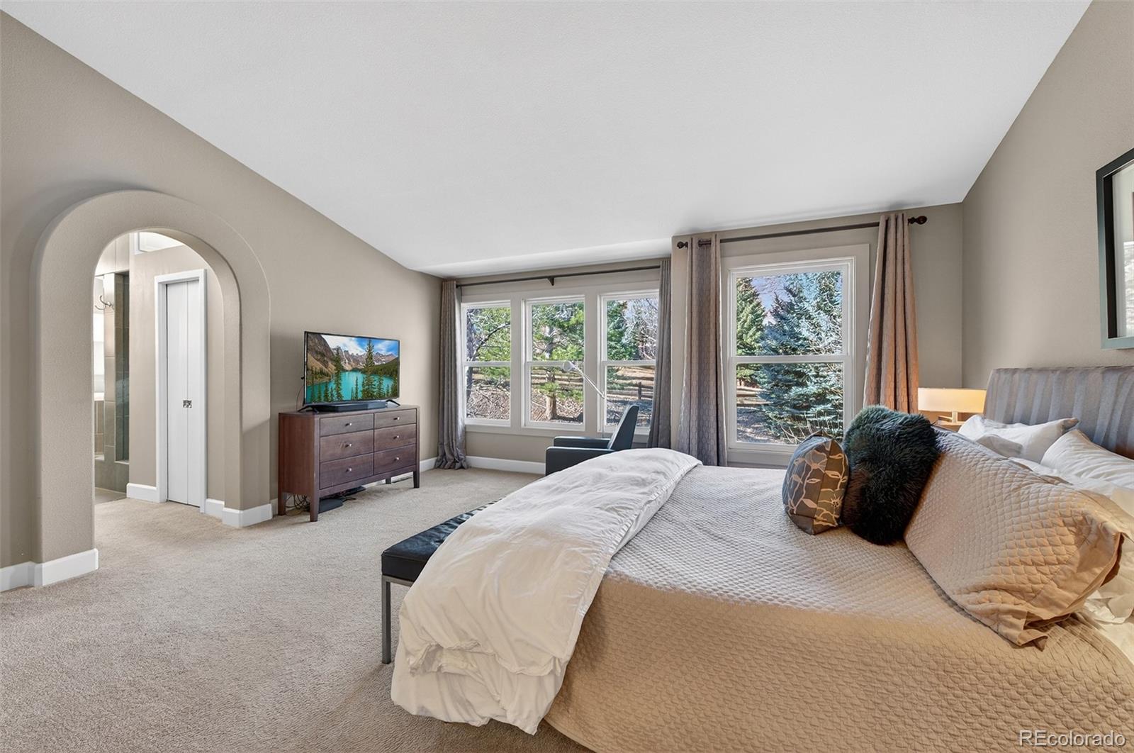 MLS Image #31 for 1  green spruce ,littleton, Colorado