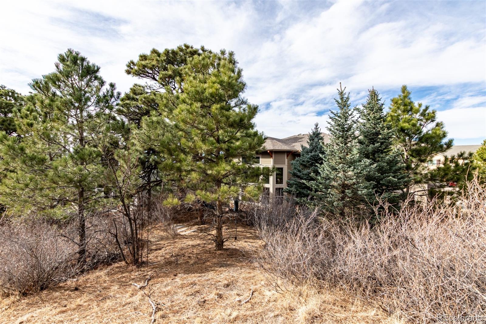 MLS Image #39 for 20166 e shady ridge road,parker, Colorado