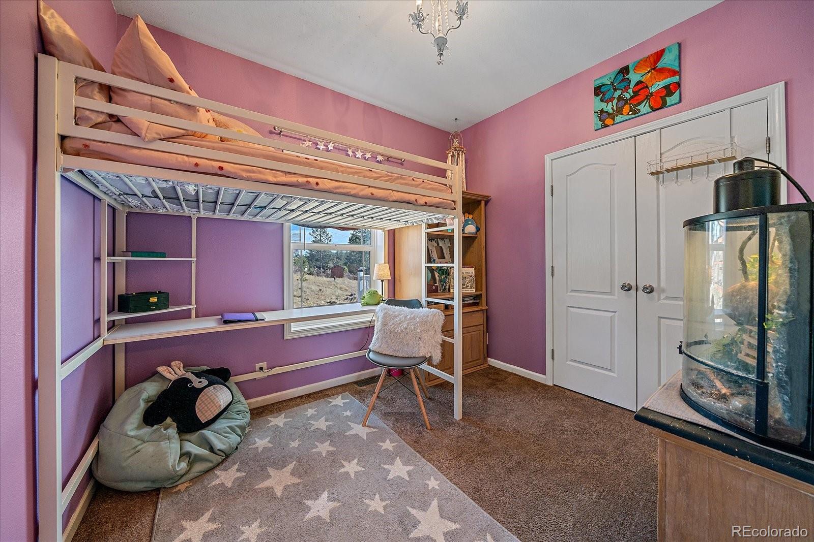 MLS Image #20 for 147  overlook drive,bailey, Colorado