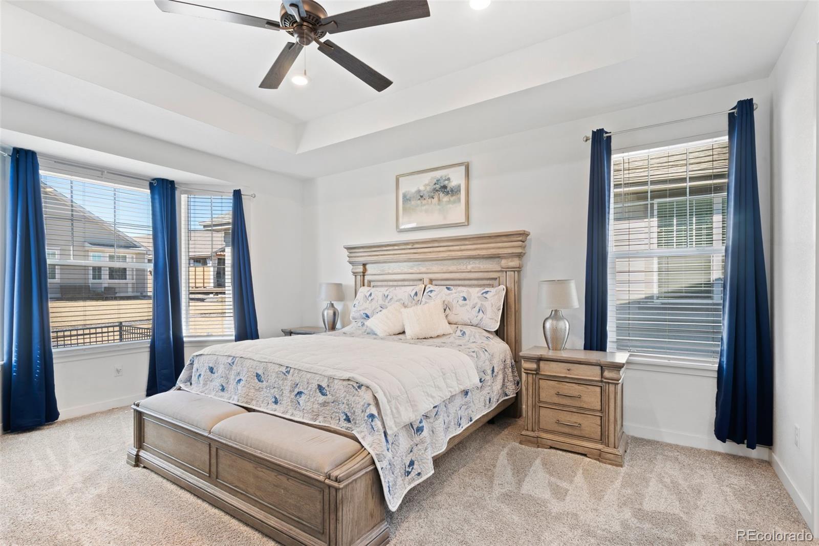 MLS Image #11 for 15755  xenia way,brighton, Colorado