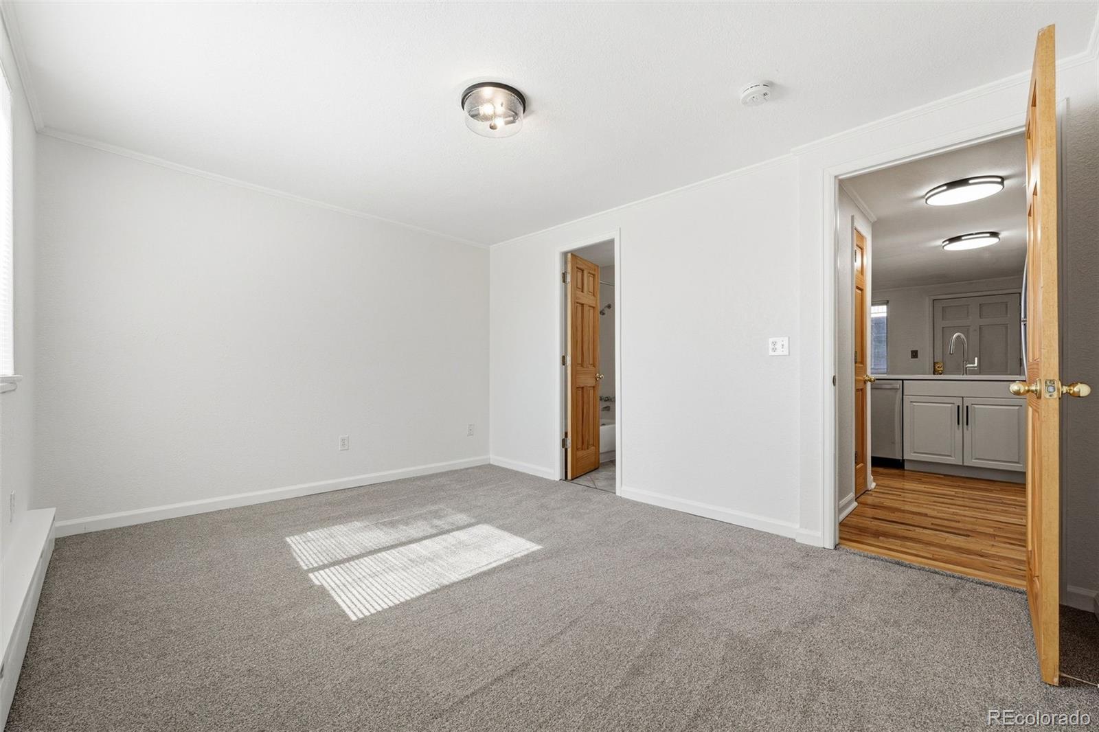 MLS Image #12 for 336 n grant street 310,denver, Colorado