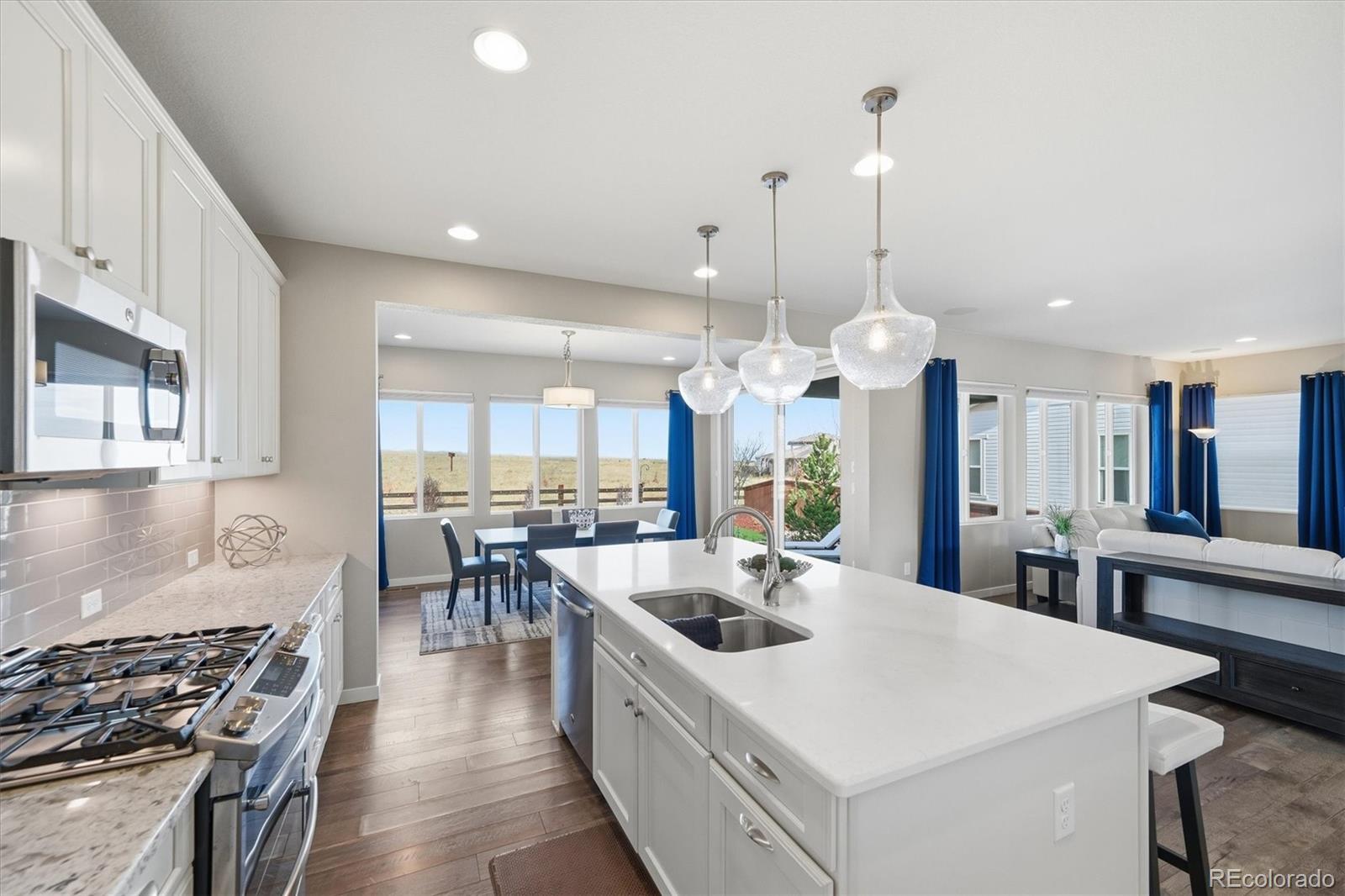 MLS Image #10 for 11405  box turtle court,parker, Colorado