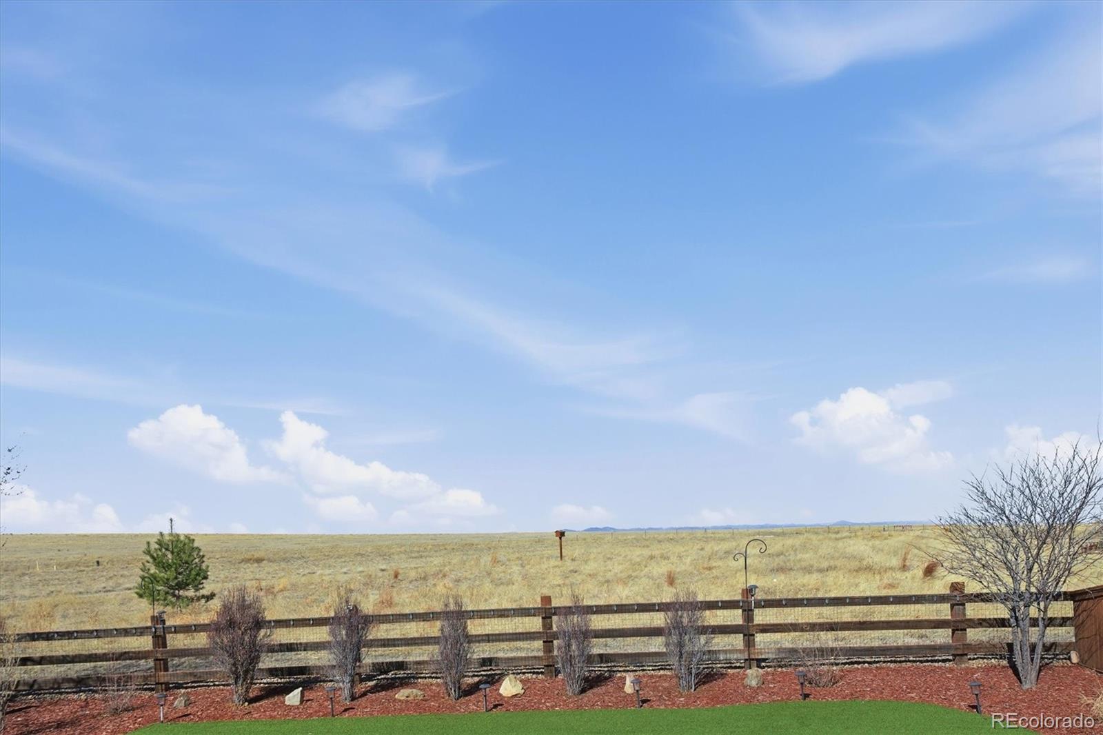 MLS Image #39 for 11405  box turtle court,parker, Colorado