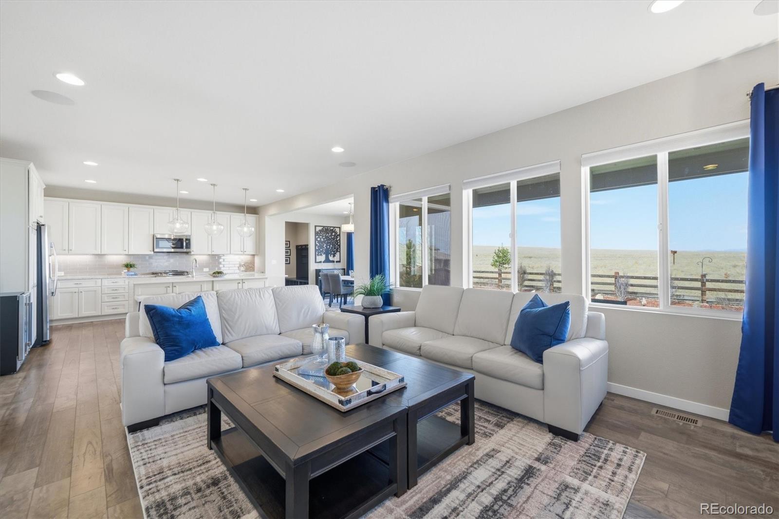 MLS Image #6 for 11405  box turtle court,parker, Colorado