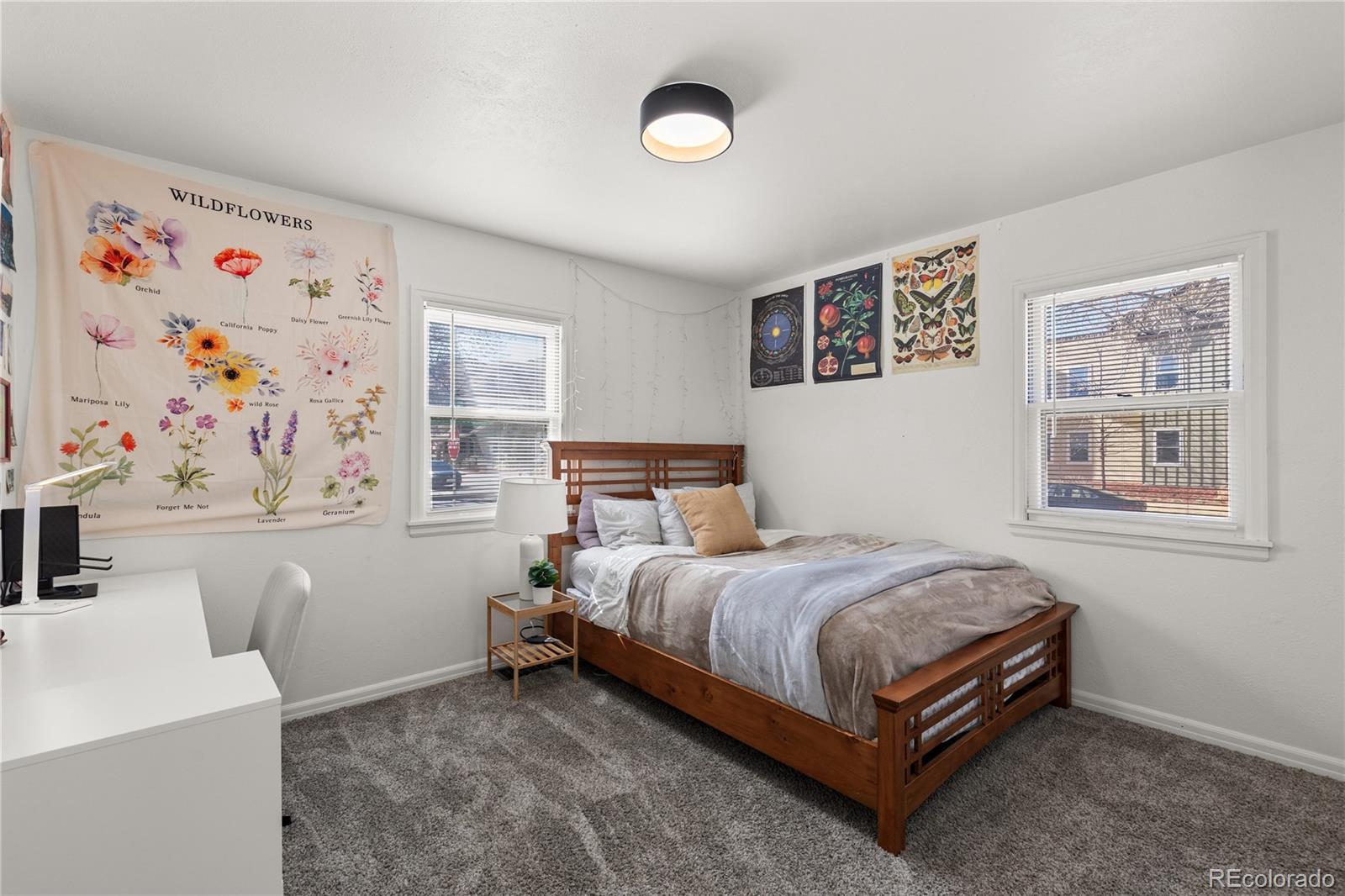 MLS Image #14 for 2301  willow creek drive,golden, Colorado