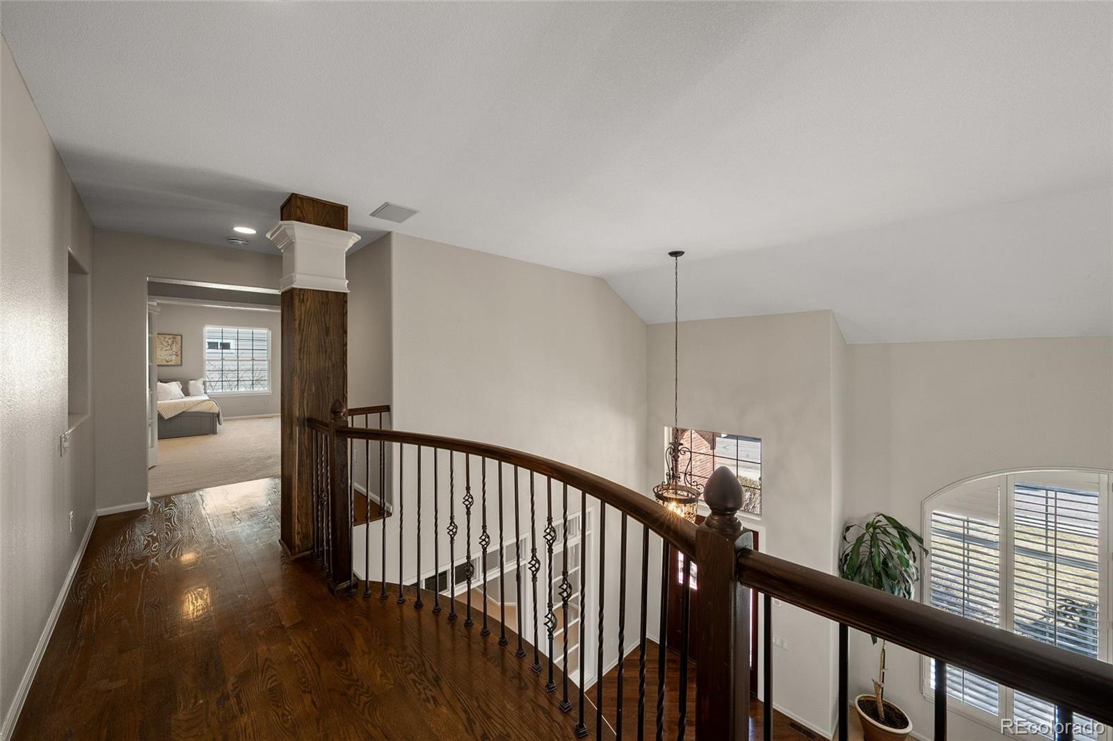 MLS Image #16 for 7463  norfolk place,castle pines, Colorado