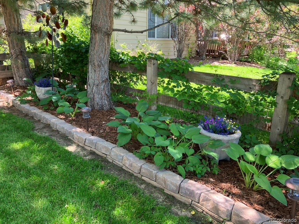 MLS Image #33 for 7463  norfolk place,castle pines, Colorado