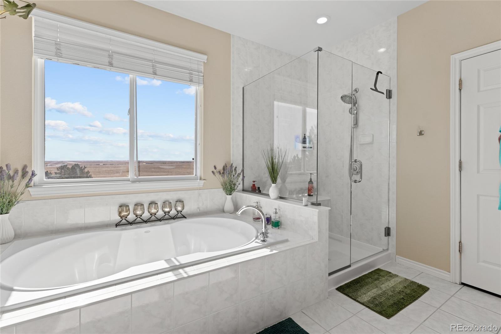 MLS Image #18 for 1080  green gables circle,bennett, Colorado