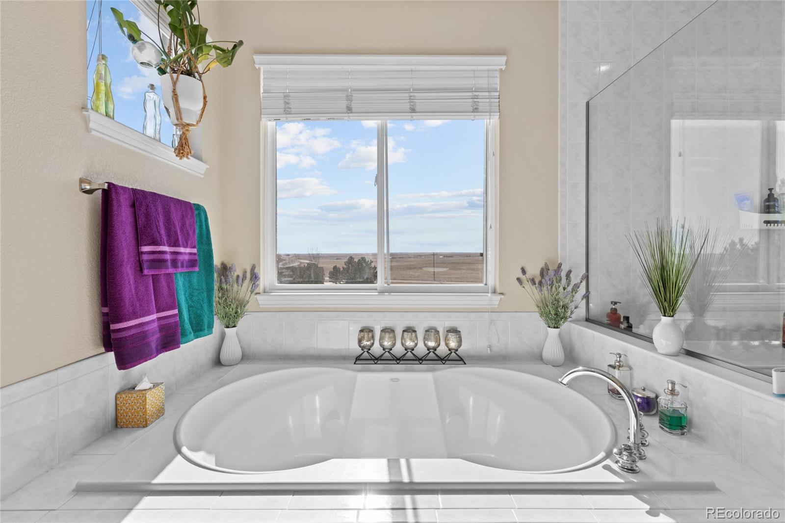 MLS Image #19 for 1080  green gables circle,bennett, Colorado