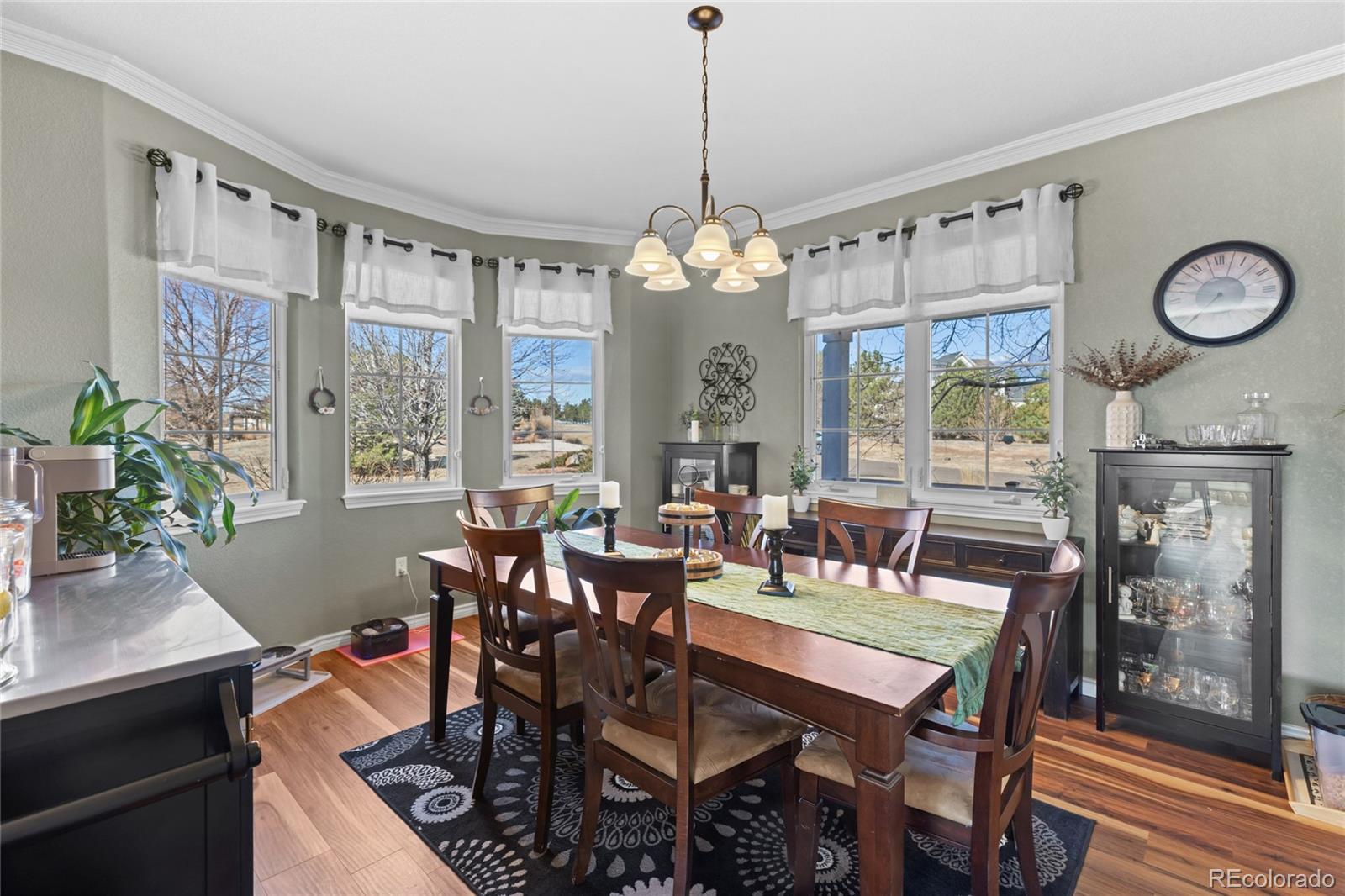 MLS Image #6 for 1080  green gables circle,bennett, Colorado