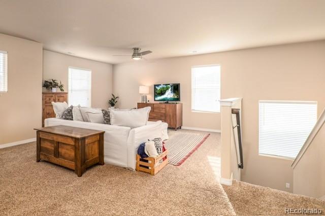 MLS Image #18 for 7368  benecia drive,fountain, Colorado