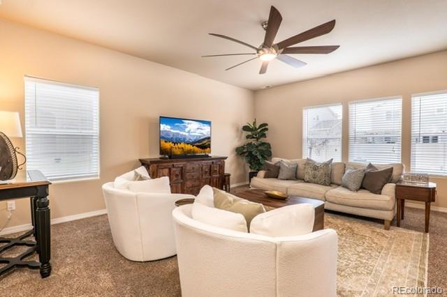 MLS Image #7 for 7368  benecia drive,fountain, Colorado