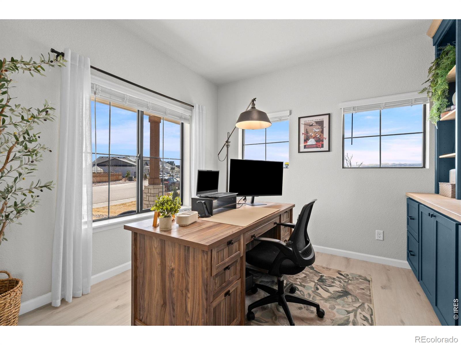 MLS Image #4 for 240  hillspire drive,windsor, Colorado