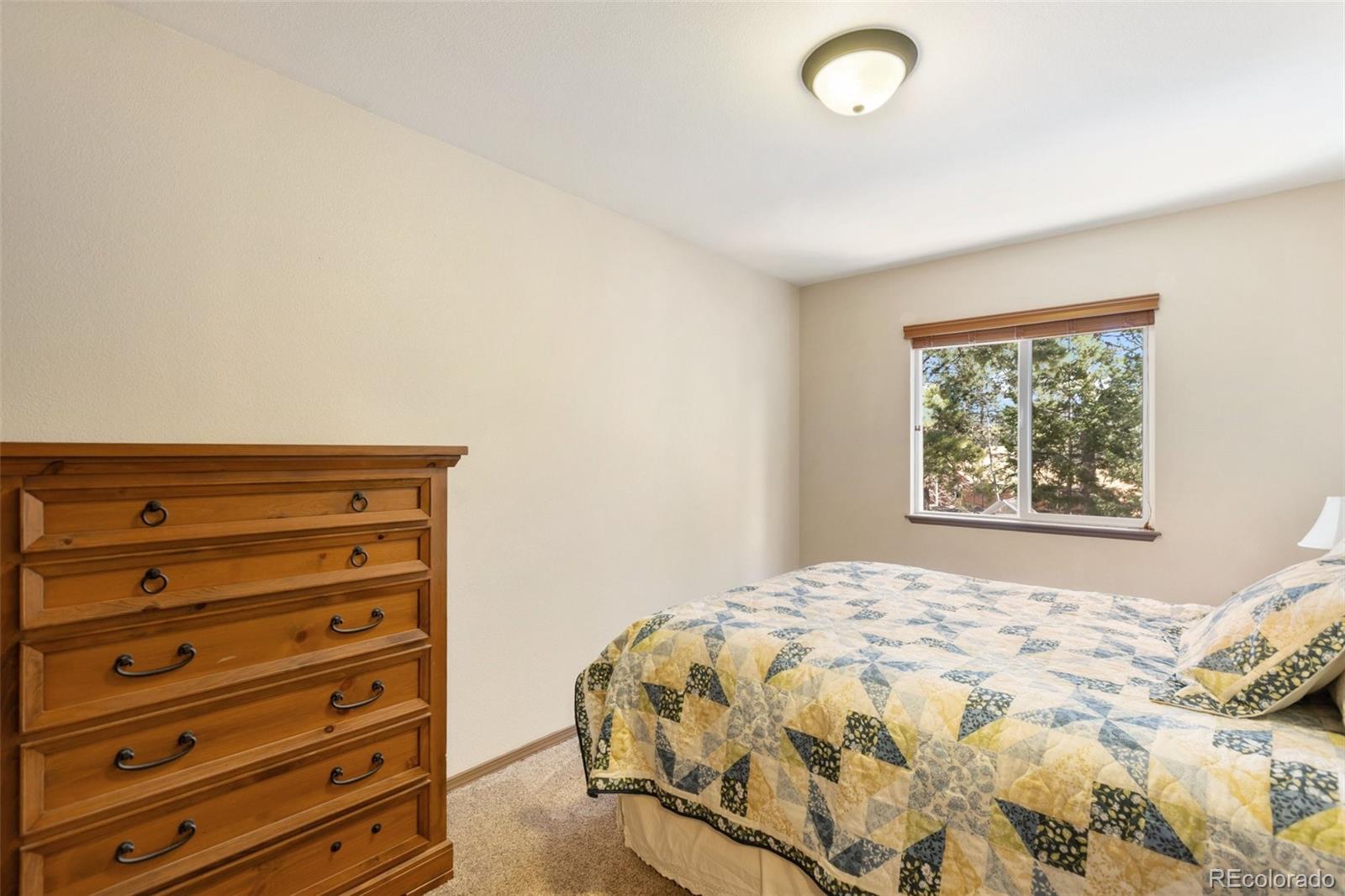 MLS Image #12 for 681  misty pines circle,woodland park, Colorado