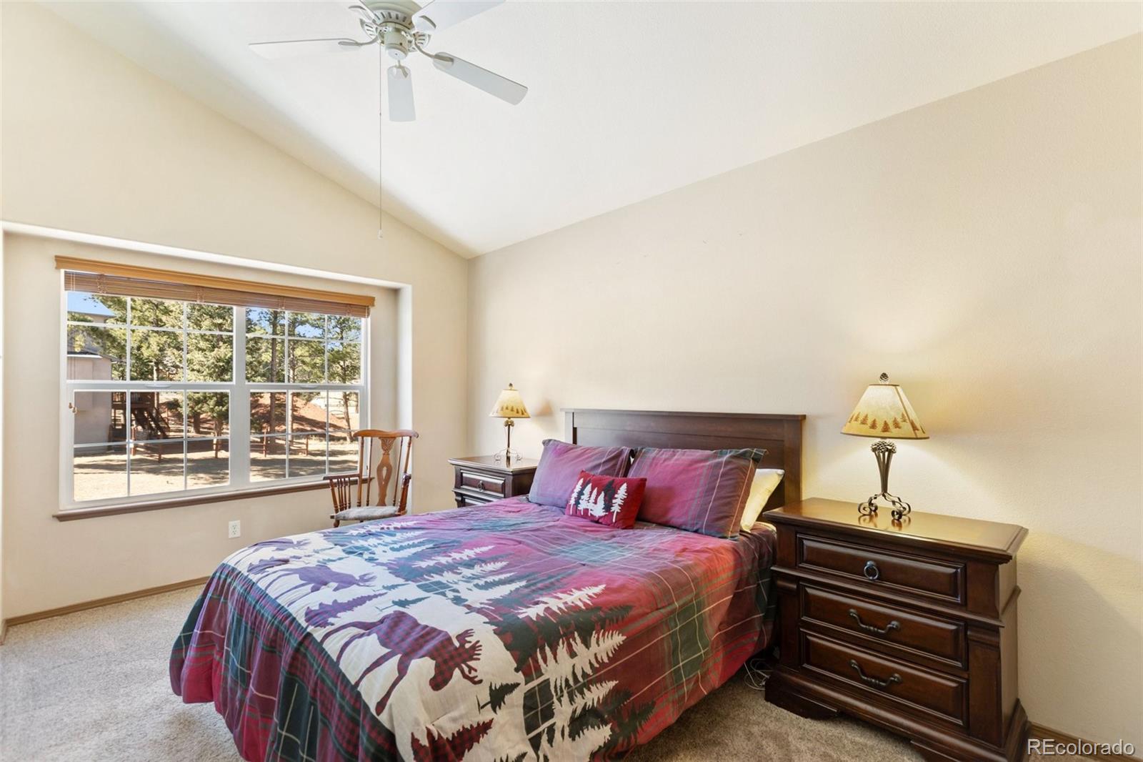 MLS Image #15 for 681  misty pines circle,woodland park, Colorado